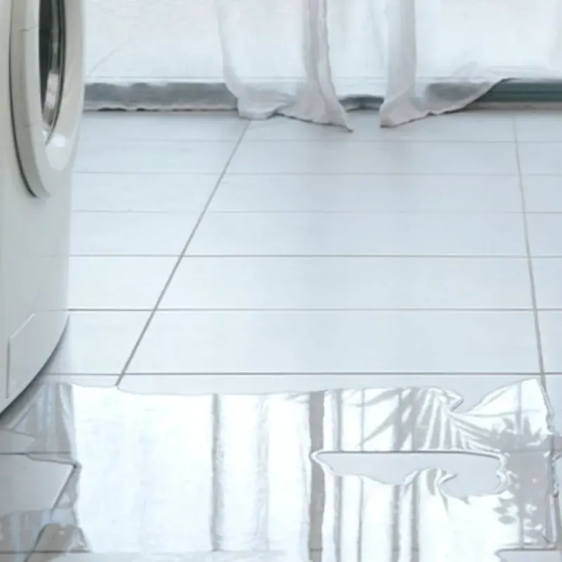 Appliance Leak Cleanup in Alexandria, AL