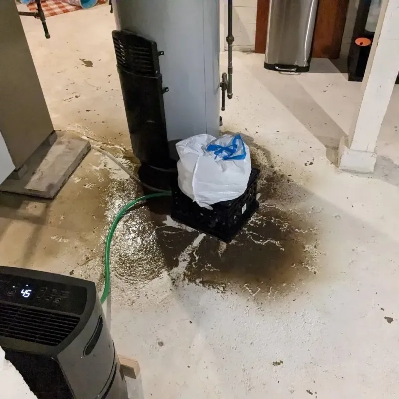 Sewage Backup Cleanup Service in Alexandria, AL